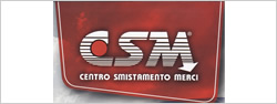 Logo-CSM centro smistamento Merci